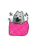 Bobo's daily（個別スタンプ：37）