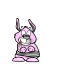 RabbitBoy（個別スタンプ：36）