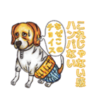 大人スタンプ代名詞連体詞（個別スタンプ：13）