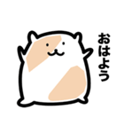 コロコロもちハムたん（個別スタンプ：1）