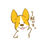 あいさつ編 コーギーたろう（個別スタンプ：1）