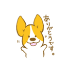 あいさつ編 コーギーたろう（個別スタンプ：4）