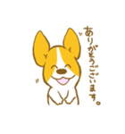 あいさつ編 コーギーたろう（個別スタンプ：5）
