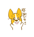 あいさつ編 コーギーたろう（個別スタンプ：6）