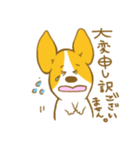 あいさつ編 コーギーたろう（個別スタンプ：11）