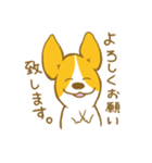 あいさつ編 コーギーたろう（個別スタンプ：15）