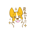あいさつ編 コーギーたろう（個別スタンプ：19）