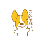 あいさつ編 コーギーたろう（個別スタンプ：22）