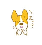 あいさつ編 コーギーたろう（個別スタンプ：30）