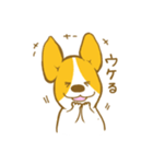 あいさつ編 コーギーたろう（個別スタンプ：35）