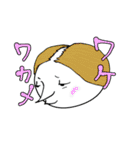 ひでたんの日常（個別スタンプ：38）