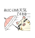 女優ぶた「中級」（個別スタンプ：22）