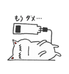 不思議なにゃんこ（個別スタンプ：19）