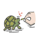 Turtles like to sleep（個別スタンプ：4）