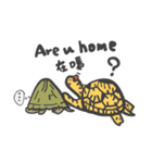 Turtles like to sleep（個別スタンプ：16）