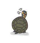 Turtles like to sleep（個別スタンプ：18）