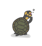 Turtles like to sleep（個別スタンプ：19）