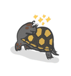 Turtles like to sleep（個別スタンプ：20）