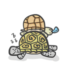 Turtles like to sleep（個別スタンプ：37）