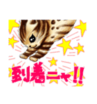 003_ベンガル猫スタンプ（デジタル版）（個別スタンプ：3）