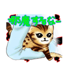 003_ベンガル猫スタンプ（デジタル版）（個別スタンプ：11）