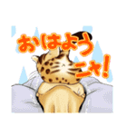 003_ベンガル猫スタンプ（デジタル版）（個別スタンプ：22）