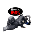自宅警備隊宅外派遣N.E.E.T.（個別スタンプ：14）
