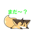 こんすけ君2（個別スタンプ：13）