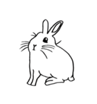 うさぎたんだよ(2)（個別スタンプ：11）
