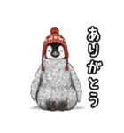 冬のコペンギン（個別スタンプ：5）