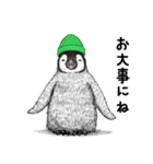 冬のコペンギン（個別スタンプ：28）