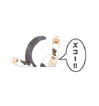 白黒ハチワレ猫のむぅたん（個別スタンプ：30）