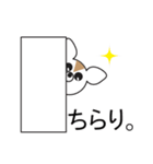 デカ文字COOL！3（個別スタンプ：13）