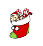 CatRabbit : Christmas Special（個別スタンプ：13）