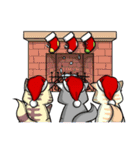 CatRabbit : Christmas Special（個別スタンプ：24）