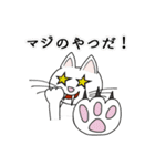 猫の主 2（個別スタンプ：18）