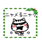 クリスマス猫スタンプ（個別スタンプ：13）