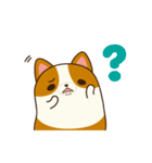 Plump Corgi Puipui（個別スタンプ：5）