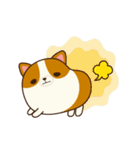 Plump Corgi Puipui（個別スタンプ：8）