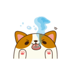 Plump Corgi Puipui（個別スタンプ：12）