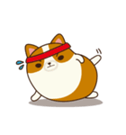 Plump Corgi Puipui（個別スタンプ：17）