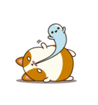 Plump Corgi Puipui（個別スタンプ：18）