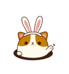 Plump Corgi Puipui（個別スタンプ：21）