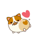 Plump Corgi Puipui（個別スタンプ：22）