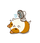 Plump Corgi Puipui（個別スタンプ：23）