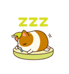 Plump Corgi Puipui（個別スタンプ：26）