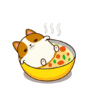 Plump Corgi Puipui（個別スタンプ：33）