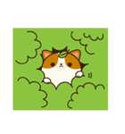 Plump Corgi Puipui（個別スタンプ：34）