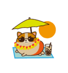 Plump Corgi Puipui（個別スタンプ：36）