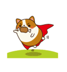 Plump Corgi Puipui（個別スタンプ：38）